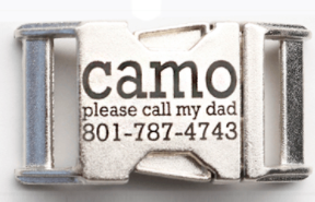 Silver Zinc Buckle
